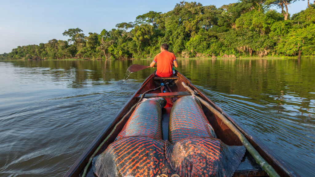 Expediție pe Amazon National Geographic pentru toți oriunde