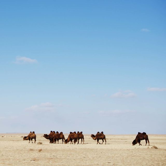 Mongolia sălbatică: Ținutul extremelor